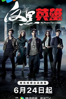 驻马店seo引擎优化